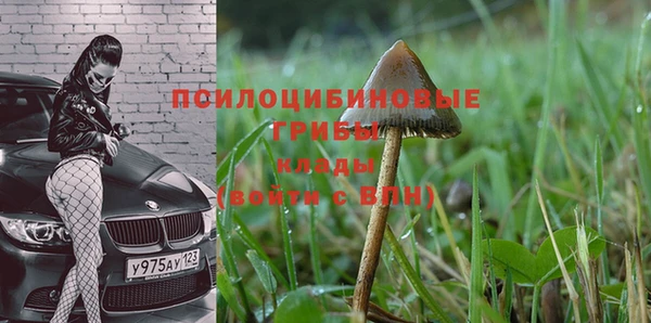 COCAINE Белокуриха