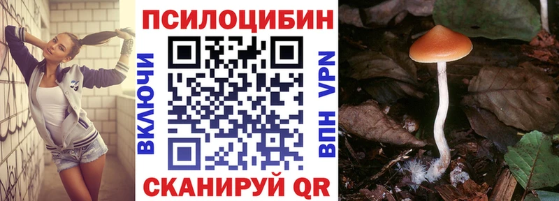 Галлюциногенные грибы прущие грибы  как найти наркотики  Светлый 